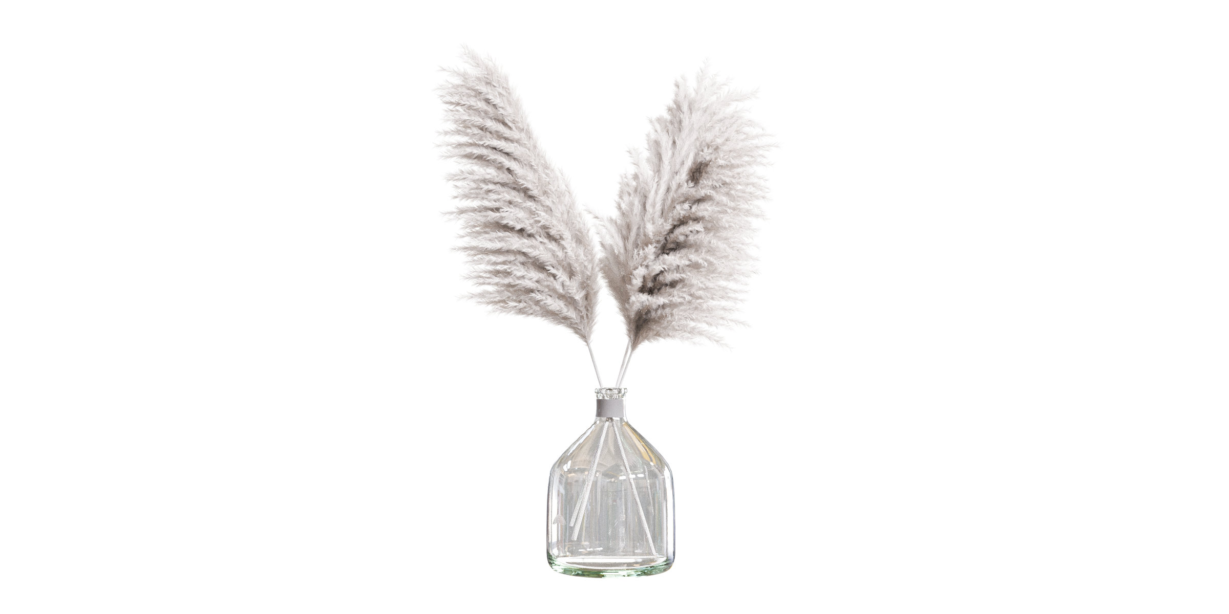 Pampas grass in glass vase Blender Market
