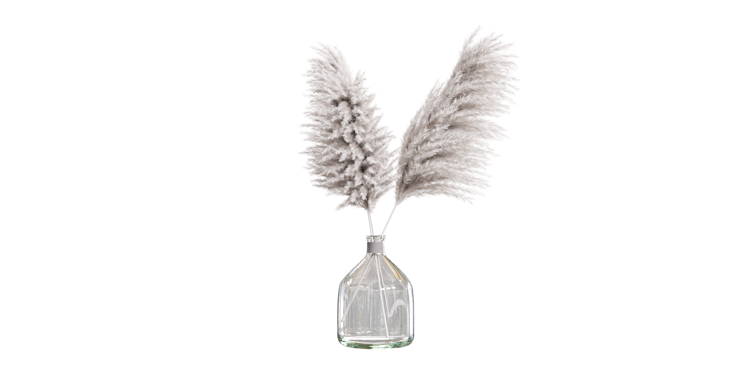 Pampas grass in glass vase Blender Market