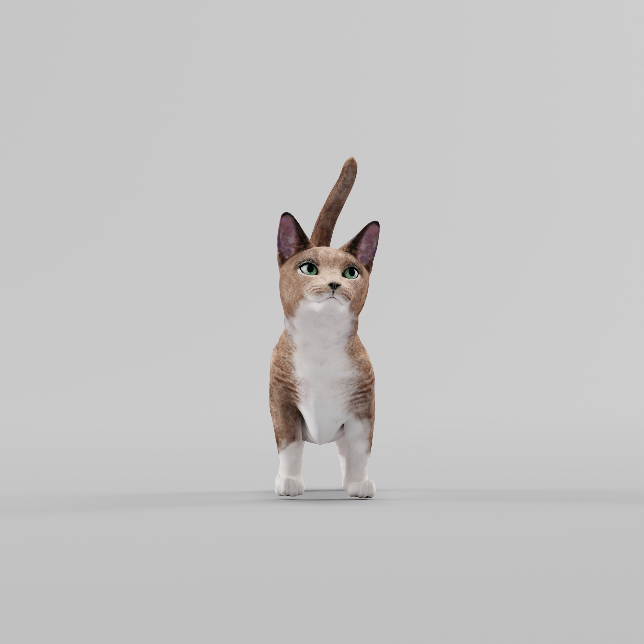 Munchkin Sausage Cat Blender Market