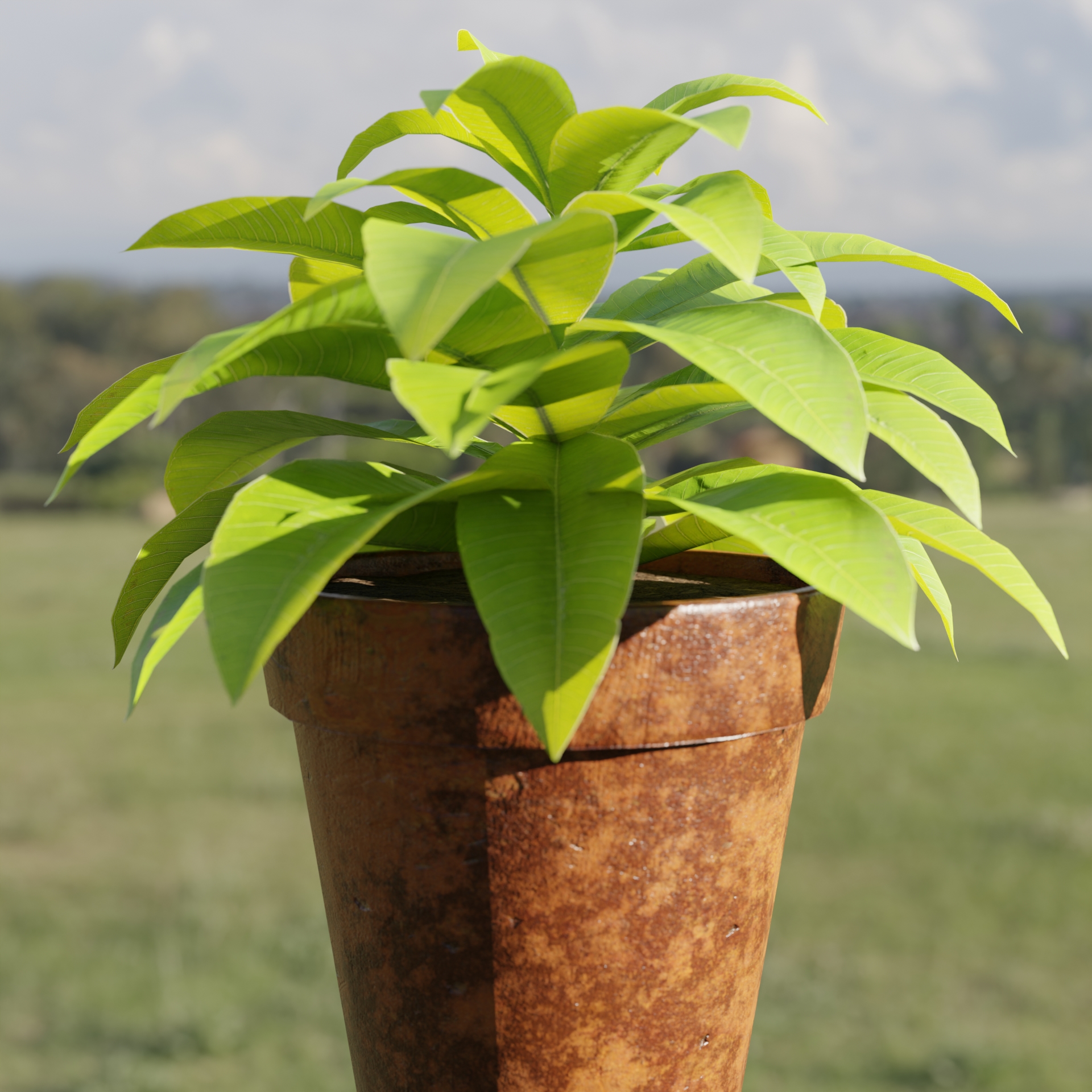 Lowpoly Pot Plants Collection Vol 228 Blender Blender Market lowpoly-pot-plants-collection-vol-228-blender-blender-market
