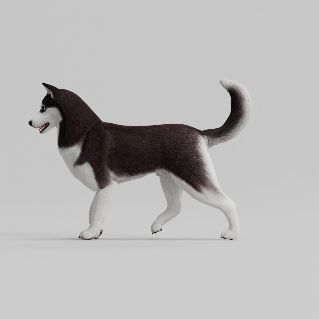 Huskey Game Ready - Blender Market