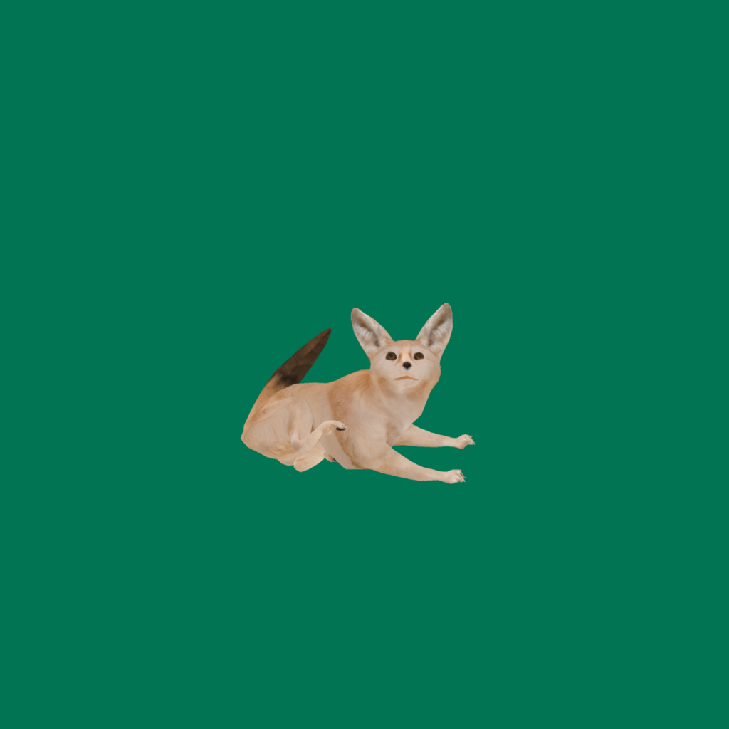Vulpes Zerda Fox Blender Market Vulpes Zerda Fox Blender Market