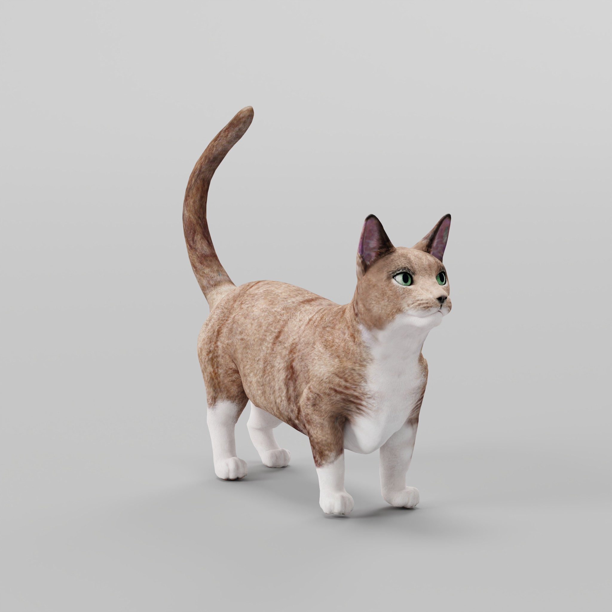 Munchkin Sausage Cat Blender Market