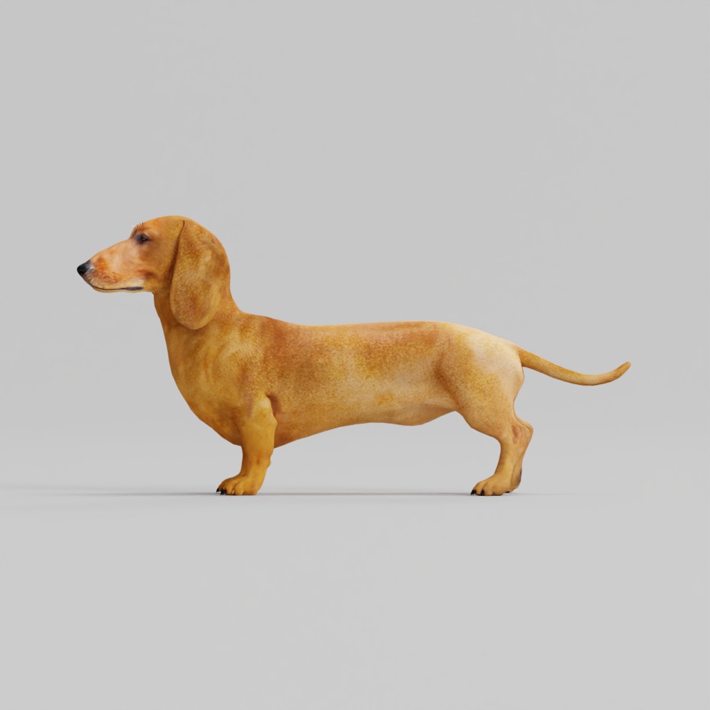 Wiener Dog - Blender Market
