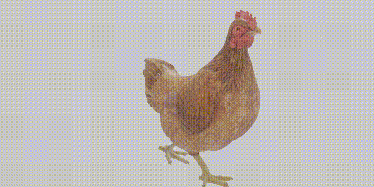 Chicken Blender Market