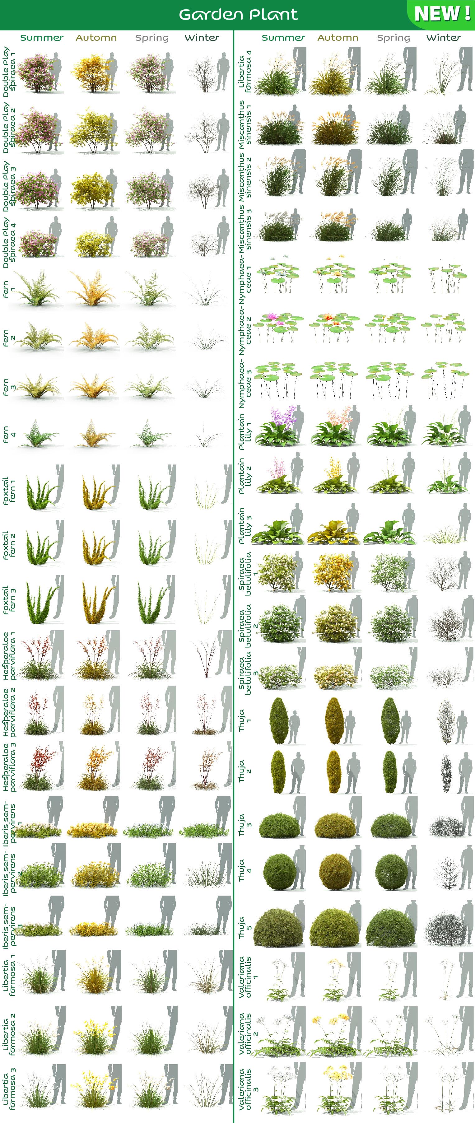 Tree Vegetation Tree and Plant Animation Library Addon Blender Market